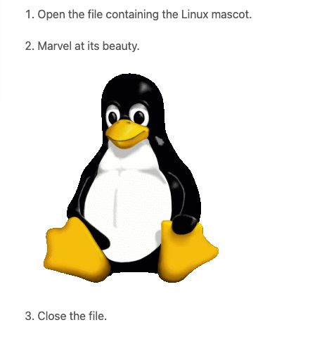example of an image added to a list item